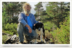 Thumb Mont Aigoual 1