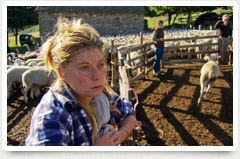 Thumb Mont Aigoual 2