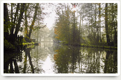 Thumb Spreewald 1